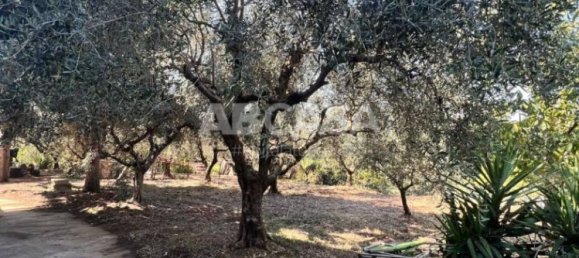 3 bedrooms Apartment in Velletri, Italy No. 66052 13