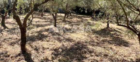 3 bedrooms Apartment in Velletri, Italy No. 66052 11