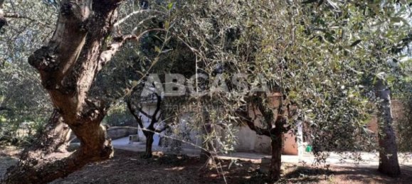 3 bedrooms Apartment in Velletri, Italy No. 66052 10