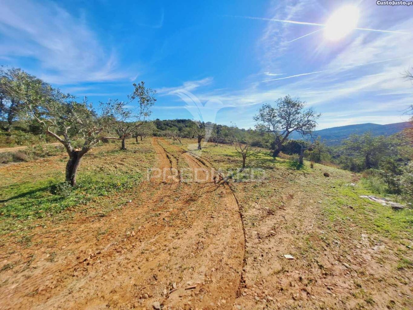 56502m² Land in Sao Bras de Alportel, Portugal No. 75128