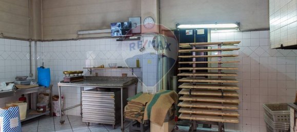 Propiedad comercial de 4 habitaciónes en Catania, Italy No. 52536 30