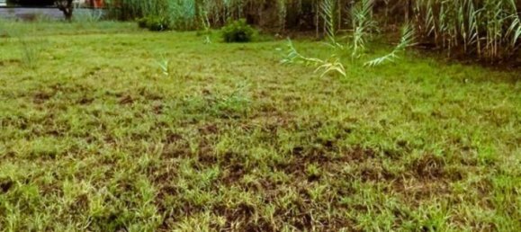 قطعة أرض في Rome, Italy 1000متر مربع رقم 323056 4