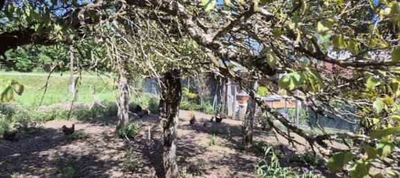 Grundstück in Feistritz im Rosental, Austria 1907m², Nr. 253393 4