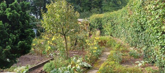 5-Zimmer Stadthaus in Gütersloh, Germany, Nr. 356130 5