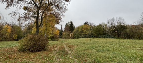  قطعة أرض في Harz, Germany رقم 144105 4