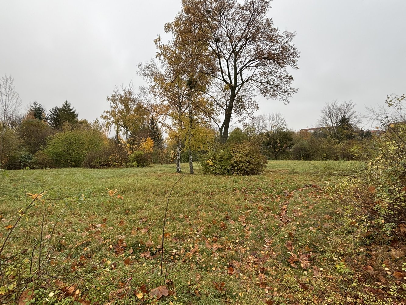  قطعة أرض في Harz, Germany رقم 144105