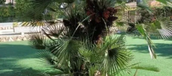 6 bedrooms House in Dehesa De Campoamor, Spain No. 130934 36