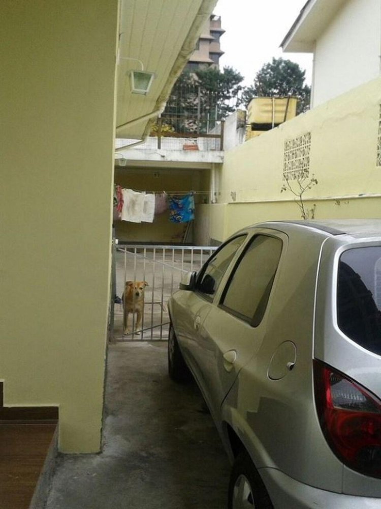 2 chambres Maison à Sao Paulo, Brazil No. 529029