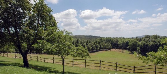 8 bedrooms Villa in Gambassi Terme, Italy No. 156824 10