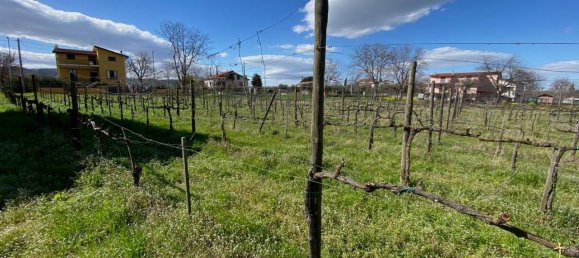 3غرفة منزل في Taurasi, Italy رقم 151076 10