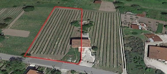 3غرفة منزل في Taurasi, Italy رقم 151076 11