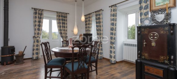 5 Schlafzimmer Villa in Lousa, Portugal, Nr. 23119 49