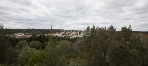 5 Schlafzimmer Villa in Lousa, Portugal, Nr. 23119 37