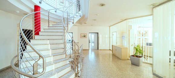 Lagerhaus in Biedermannsdorf, Austria 4000m², Nr. 248341 15