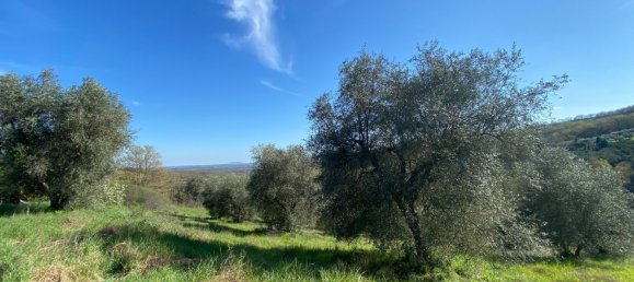 Grundstück in Manciano, Italy 120000m², Nr. 160733 12