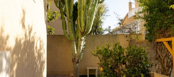 3 bedrooms Villa in Torrevieja, Spain No. 176488 43