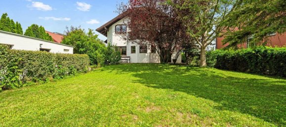 4 chambres Maison à Enzesfeld-Lindabrunn, Austria No. 251235 11