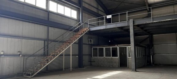 Gewerbliche Immobilie in Nicosia, Cyprus 1125m², Nr. 2777 4