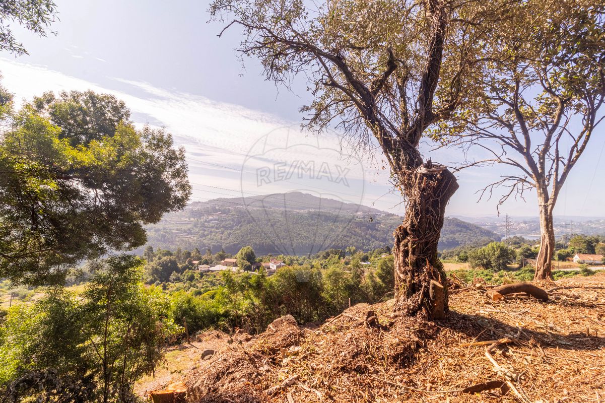 2 bedrooms House in Penafiel, Portugal No. 186476