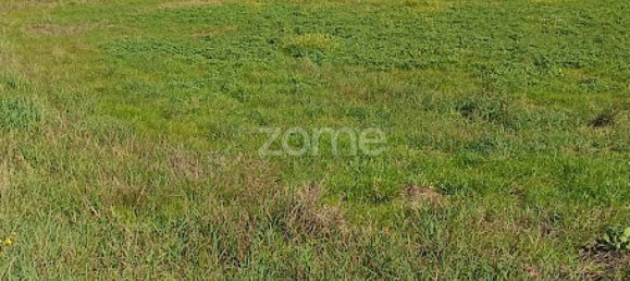 Terreno en Campo Maior, Portugal No. 87258 20