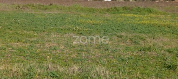 Terreno en Campo Maior, Portugal No. 87258 27