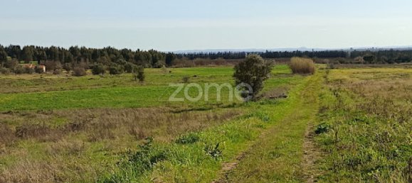 Terreno en Campo Maior, Portugal No. 87258 17