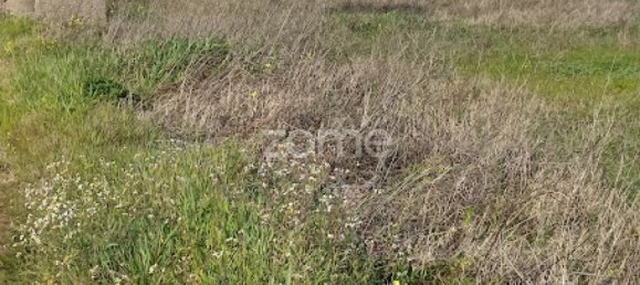 Terreno en Campo Maior, Portugal No. 87258 31
