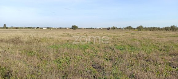 Terreno en Campo Maior, Portugal No. 87258 15