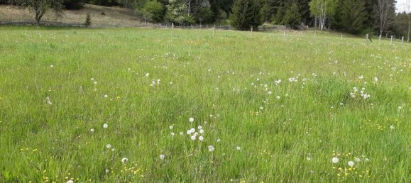 Grundstück in Bramberg am Wildkogel, Austria, Nr. 131147 2