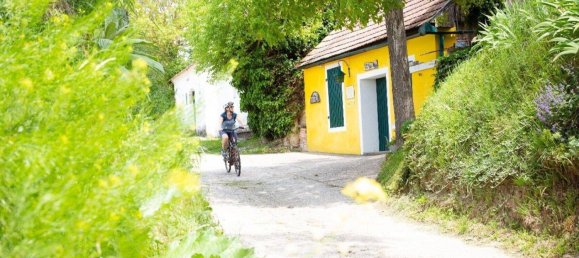 3-Zimmer Wohnung in Absdorf, Austria, Nr. 226701 17