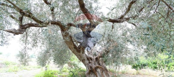 7 chambres Maison à Chiaramonte Gulfi, Italy No. 332174 7