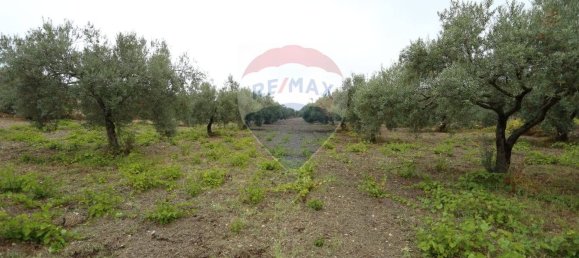 7 chambres Maison à Chiaramonte Gulfi, Italy No. 332174 24