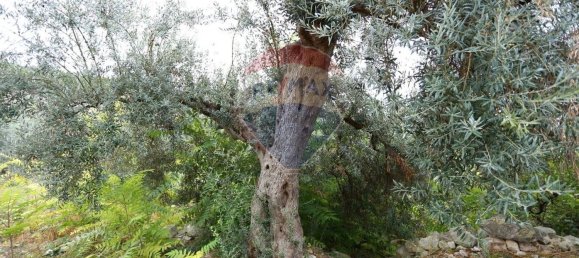 7 chambres Maison à Chiaramonte Gulfi, Italy No. 332174 22