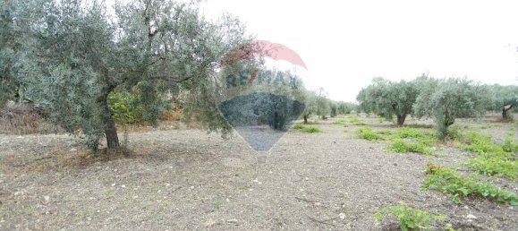 7 chambres Maison à Chiaramonte Gulfi, Italy No. 332174 21