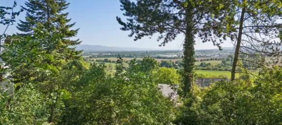 Land in Bad Kreuznach, Germany No. 321803 3