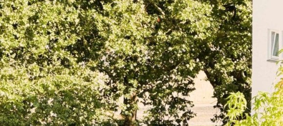 2 bedrooms Duplex in Heilbronn, Germany No. 19596 22