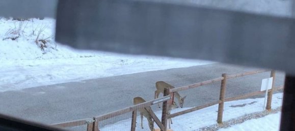 Casa de 4 habitaciónes en Udine, Italy No. 251186 38