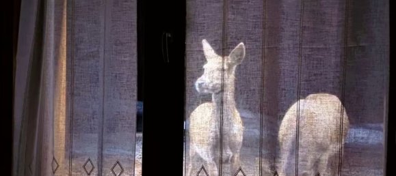 Casa de 4 habitaciónes en Udine, Italy No. 251186 14