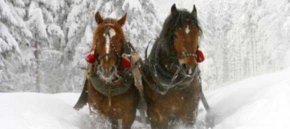 Casa de 4 habitaciónes en Udine, Italy No. 251186 23