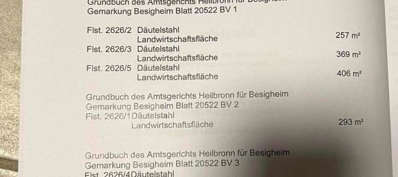 Land in Heilbronn, Germany No. 354932 10