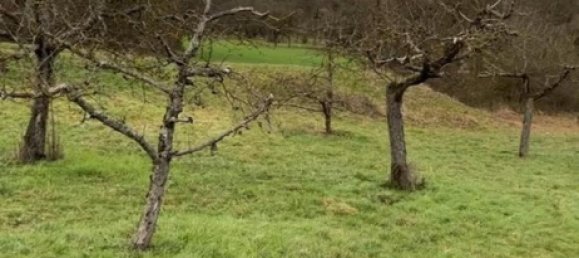 Land in Heilbronn, Germany No. 354932 4