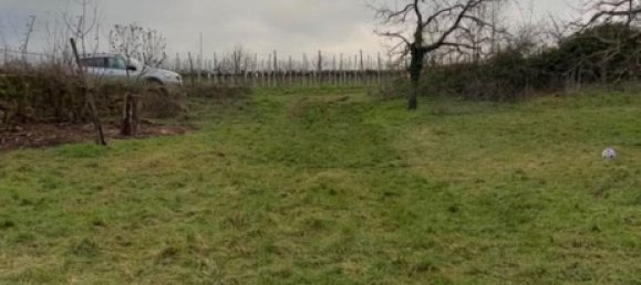 Land in Heilbronn, Germany No. 354932 7