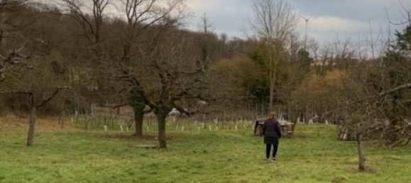 Land in Heilbronn, Germany No. 354932 9