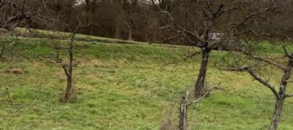 Land in Heilbronn, Germany No. 354932 6