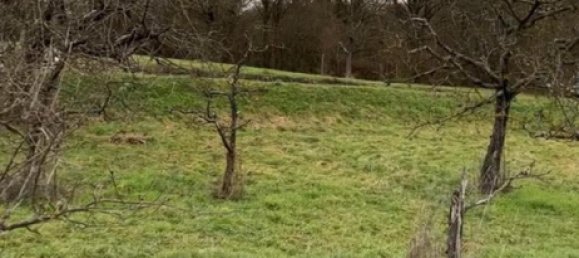 Land in Heilbronn, Germany No. 354932 2