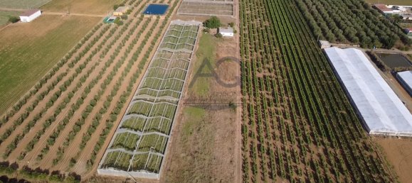 14242m² Land in Andalusia, Spain No. 164578 3