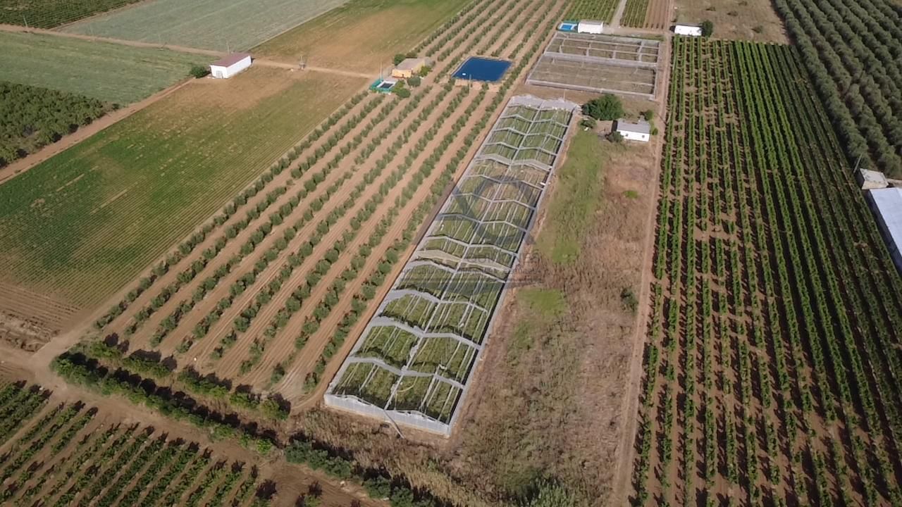 14242m² Land in Andalusia, Spain No. 164578