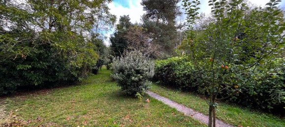 1 bedroom House in Saint-Christophe-en-Bazelle, France No. 245731 8