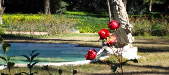 8 bedrooms Castles in Elvas, Portugal No. 105103 13