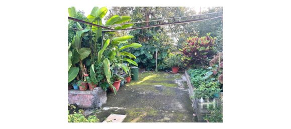 قطعة أرض في Funchal, Portugal رقم 123001 14